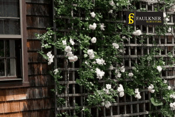 Can I put trellis on my Neighbours garage wall? 1 Can you add a trellis to your neighbours garage wall Eastbourne ? Party Wall Surveyors Eastbourne