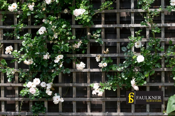 Can I put trellis on my Neighbours garage wall? 2 Do you want to adapt your neighbours garage door and add a trellis Eastbourne? Talk to Faulkner Surveyor Eastbourne